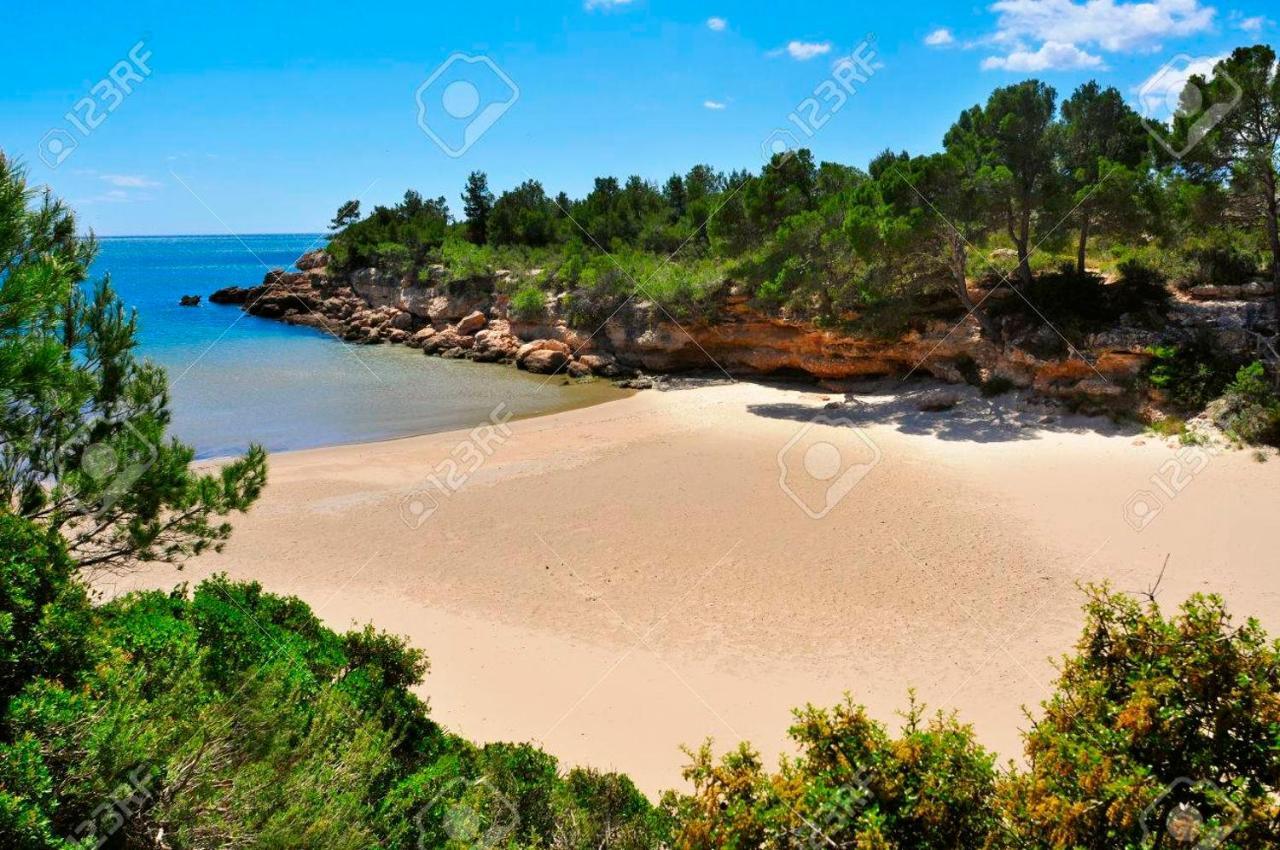 Buena Vista Casa de vacances