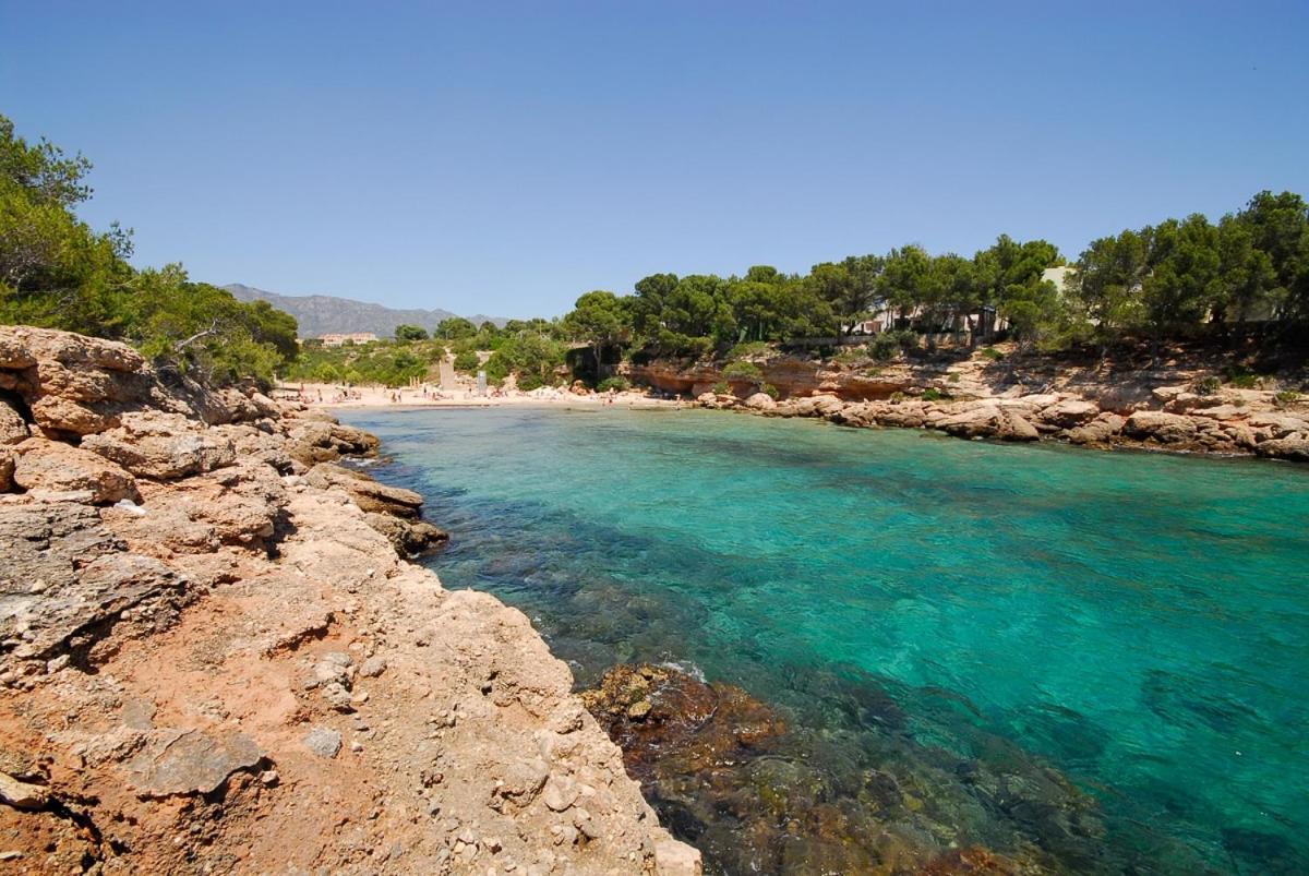 Buena Vista Hébergement de vacances