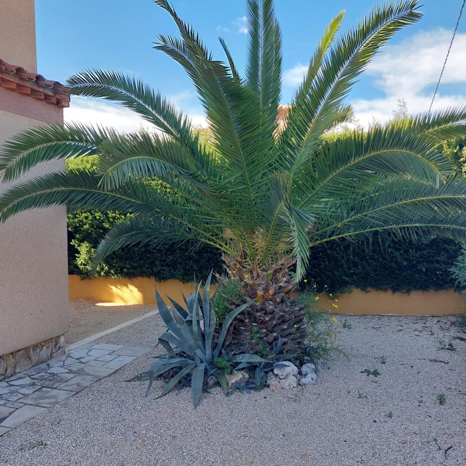 Hébergement de vacances Buena Vista