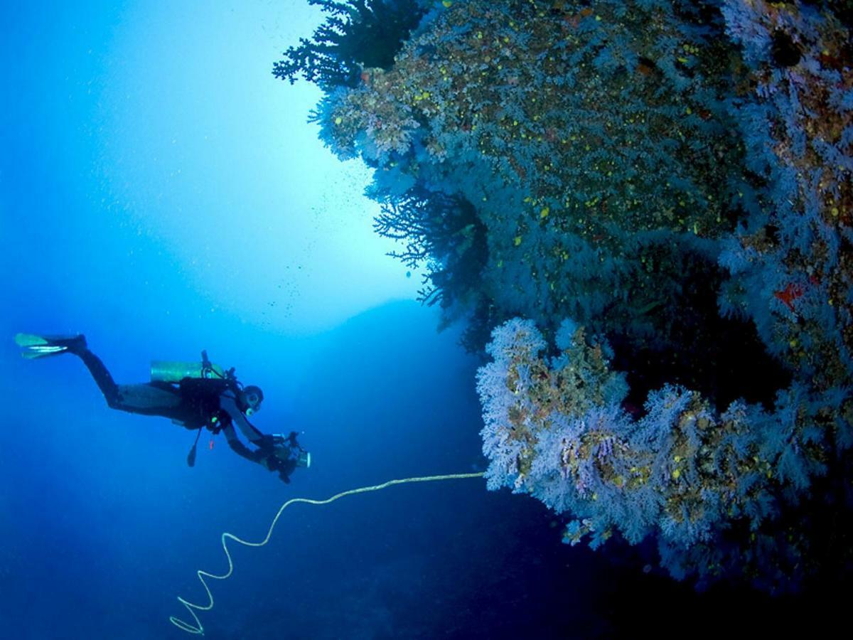 Buena Vista L'Ametlla de Mar